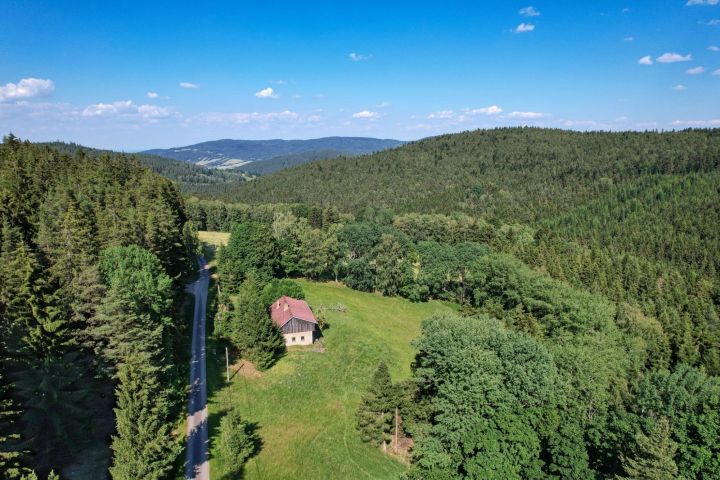 DJI 0553