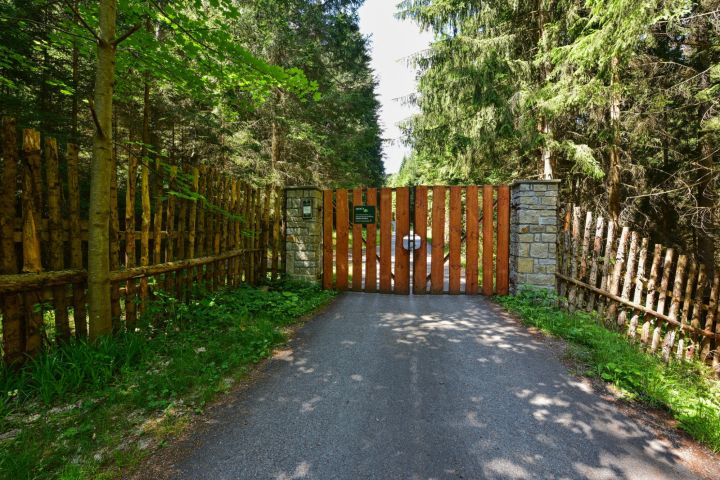 DSC 4324 (1)