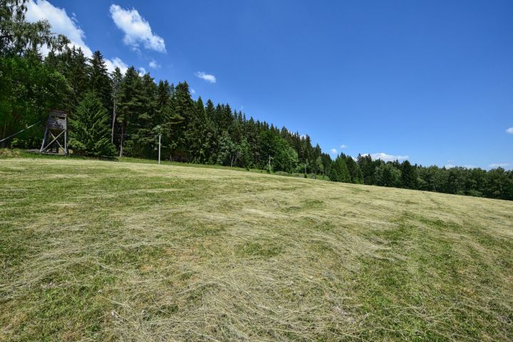 DSC 4398