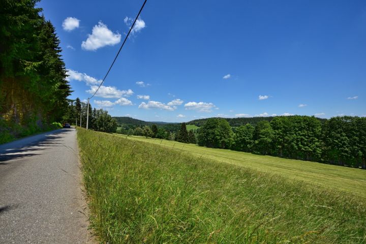 DSC 4441