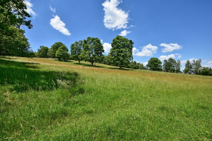 DSC 4489