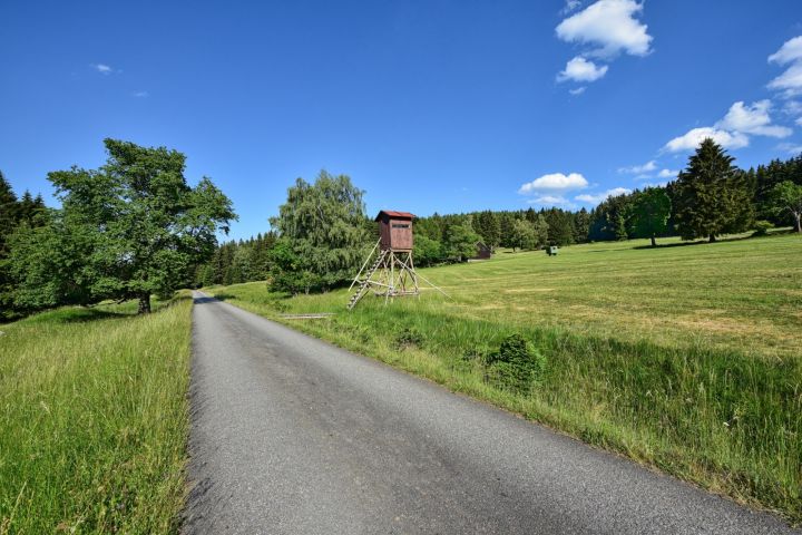 DSC 4599