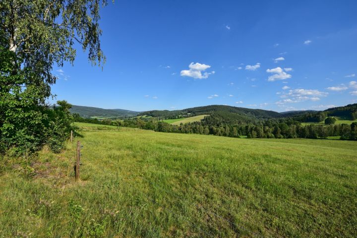 DSC 4619