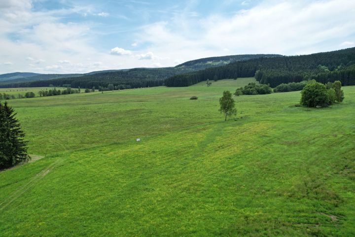 DJI 0685