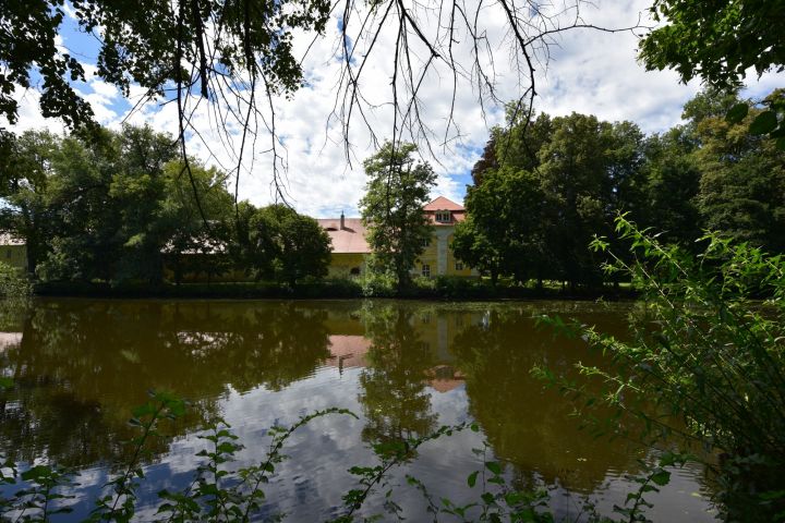 DSC 3116