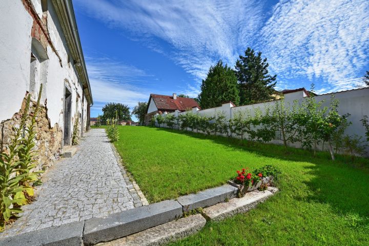 Průhled zahradou