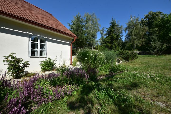 DSC 4830