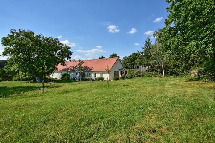 Průhled zahradou
