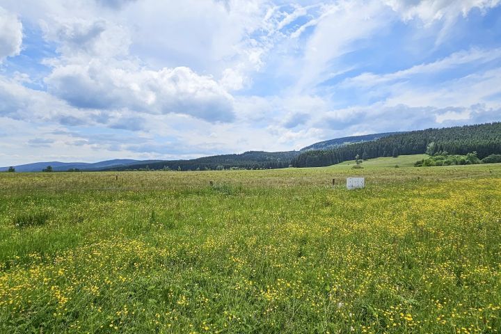 Pohled na pozemek s panoramatickým výhledem