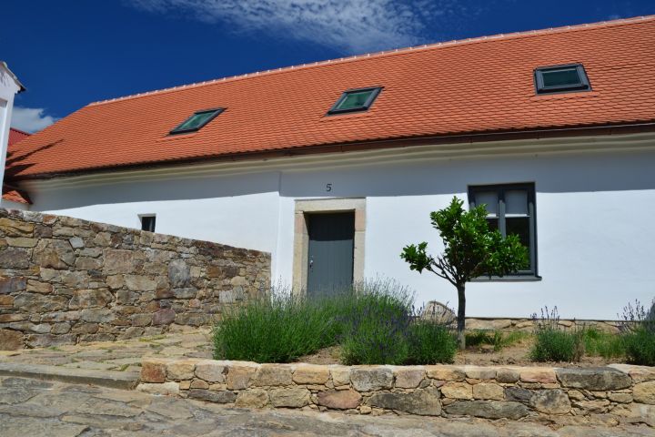 DSC 0099
