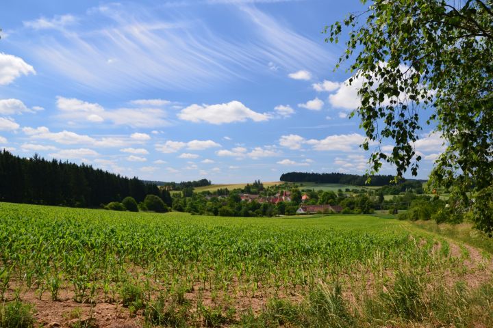 DSC 0887