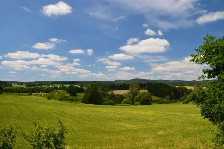 DSC 0913
