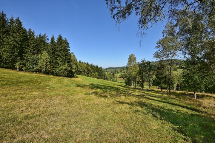 Bezprostřední okolí
