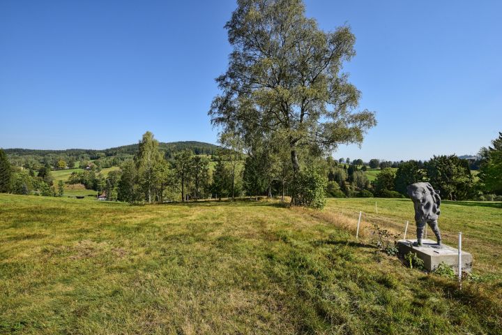 Bezprostřední okolí