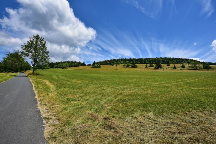 DSC 4921
